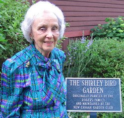 Shirley Bird